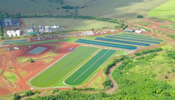 field